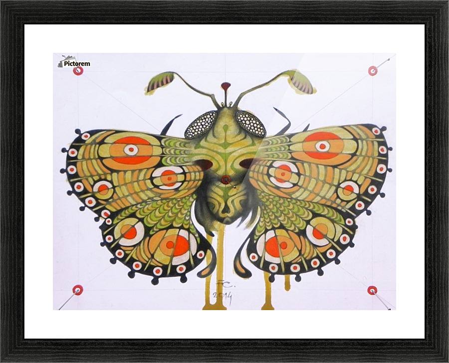 moth Picture Frame print