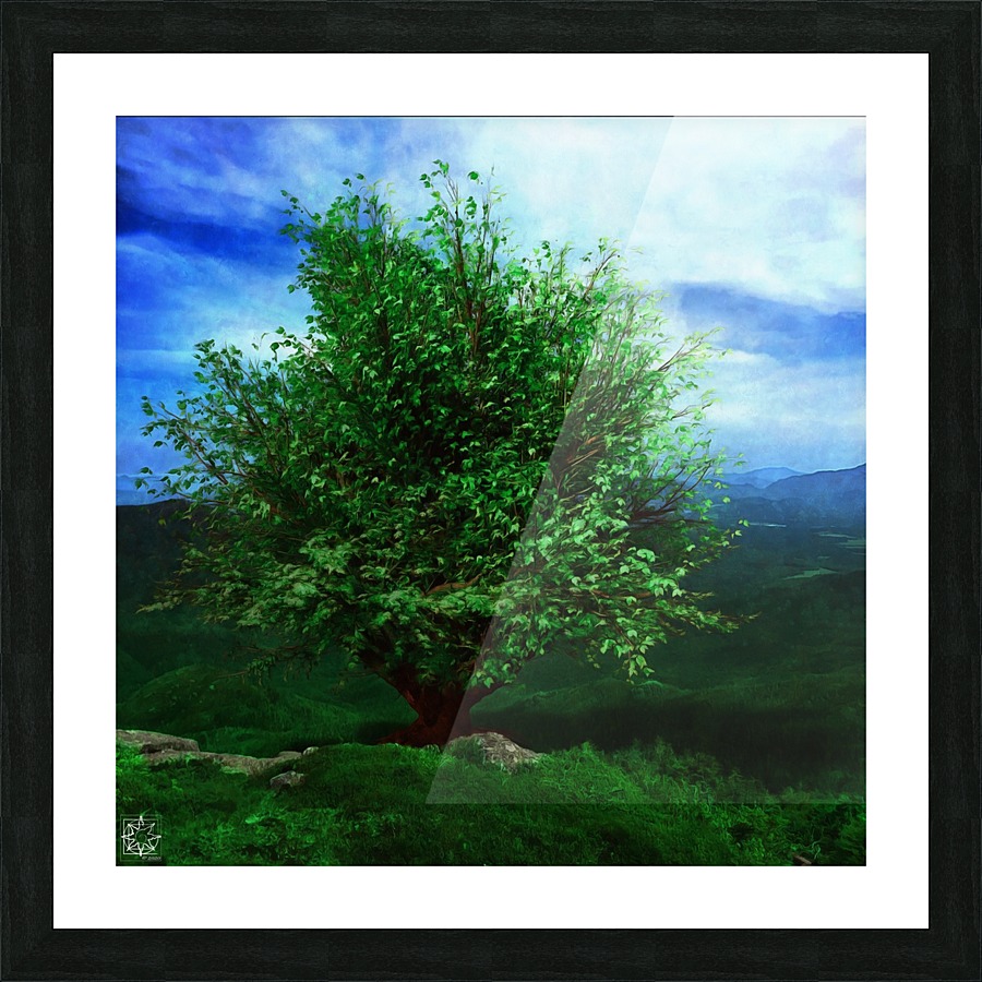  Fine Art print