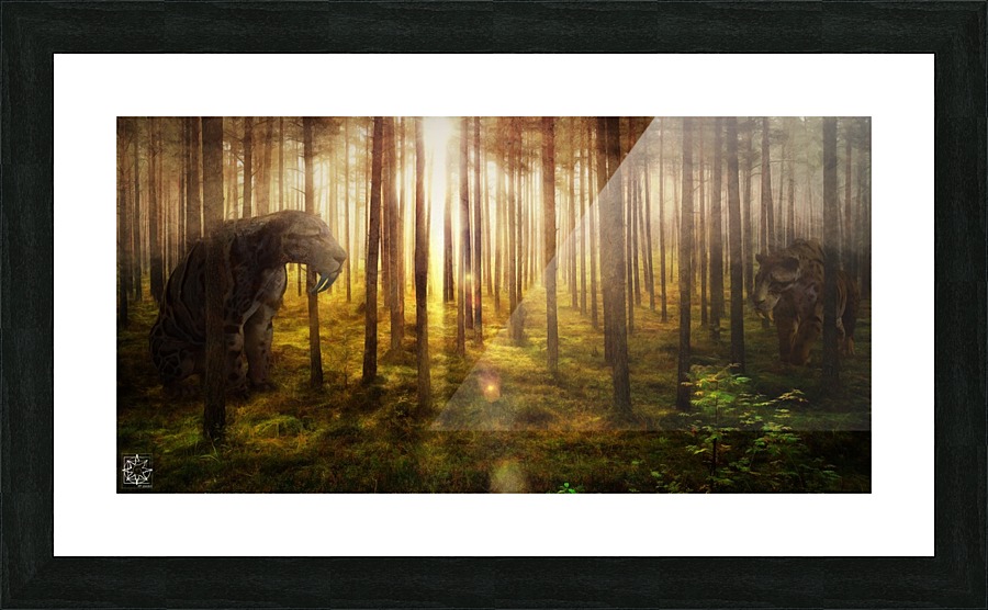  Fine Art print
