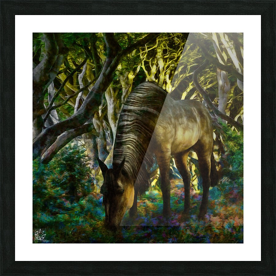  Fine Art print