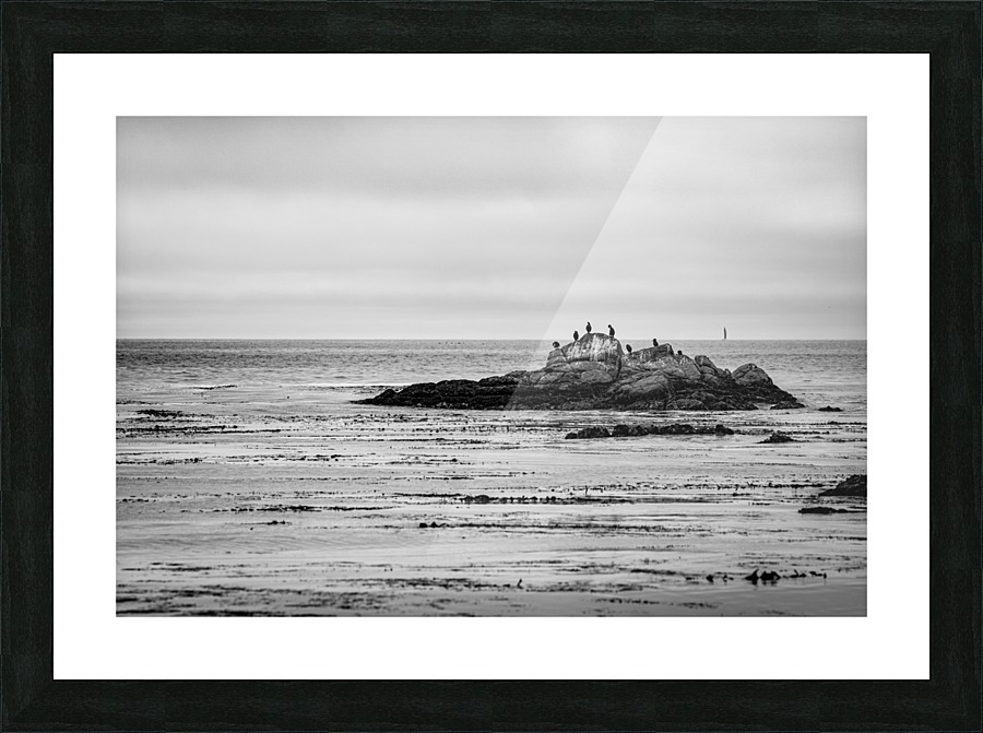 Monterey Peninsula 1399 Picture Frame print