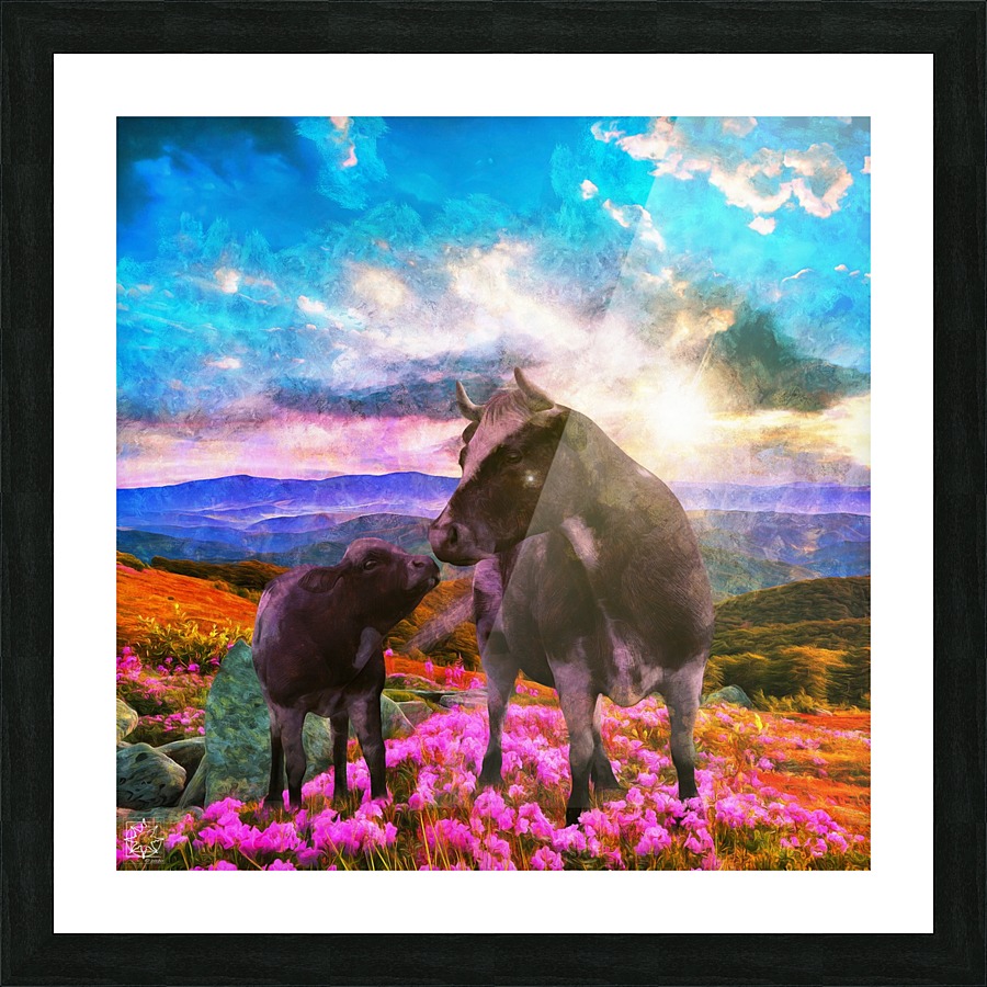  Fine Art print