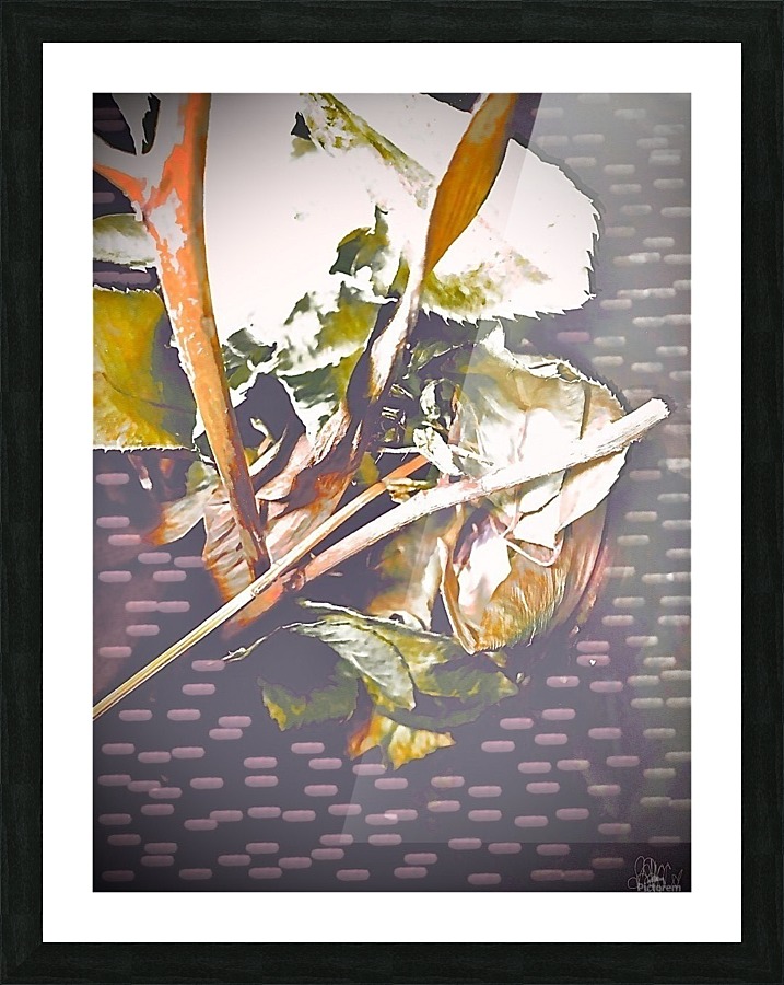  Fine Art print
