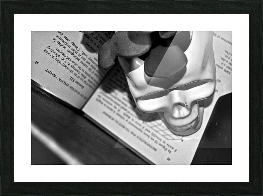  Fine Art print