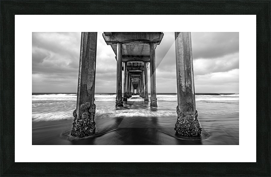 Scripps Pier in B&W  Framed Print Print