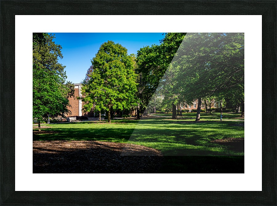 University of Georgia   Athens GA 06328 Picture Frame print