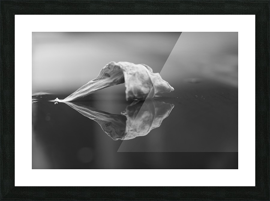 The Paradise of Reflections  Picture Frame print