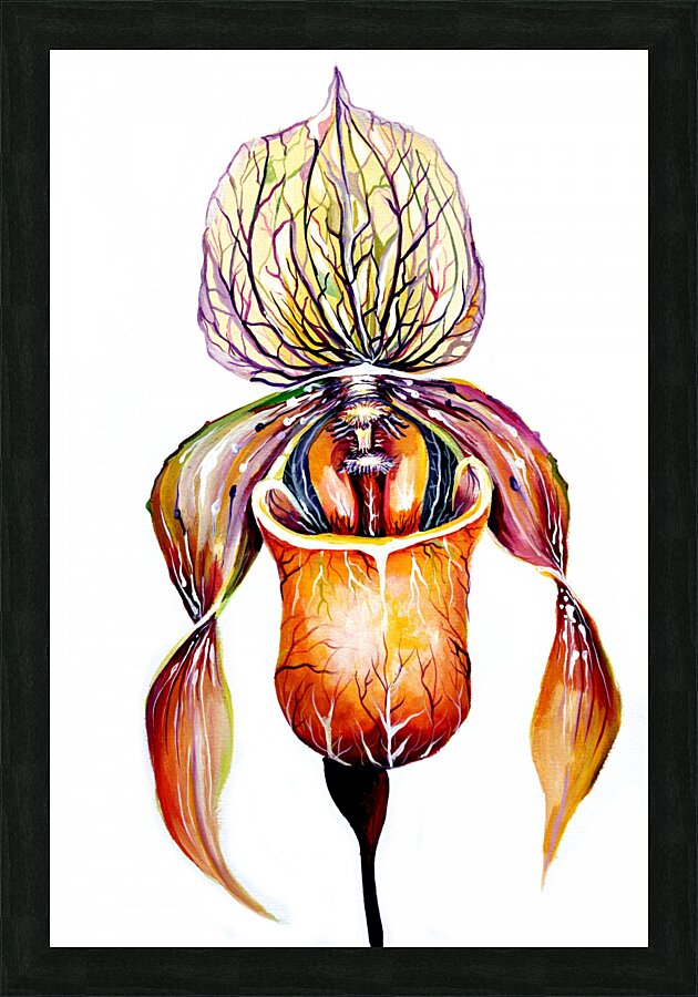 Orchid Venus Slipper by Nisuris Art Wall Art