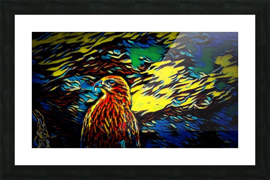  Fine Art print