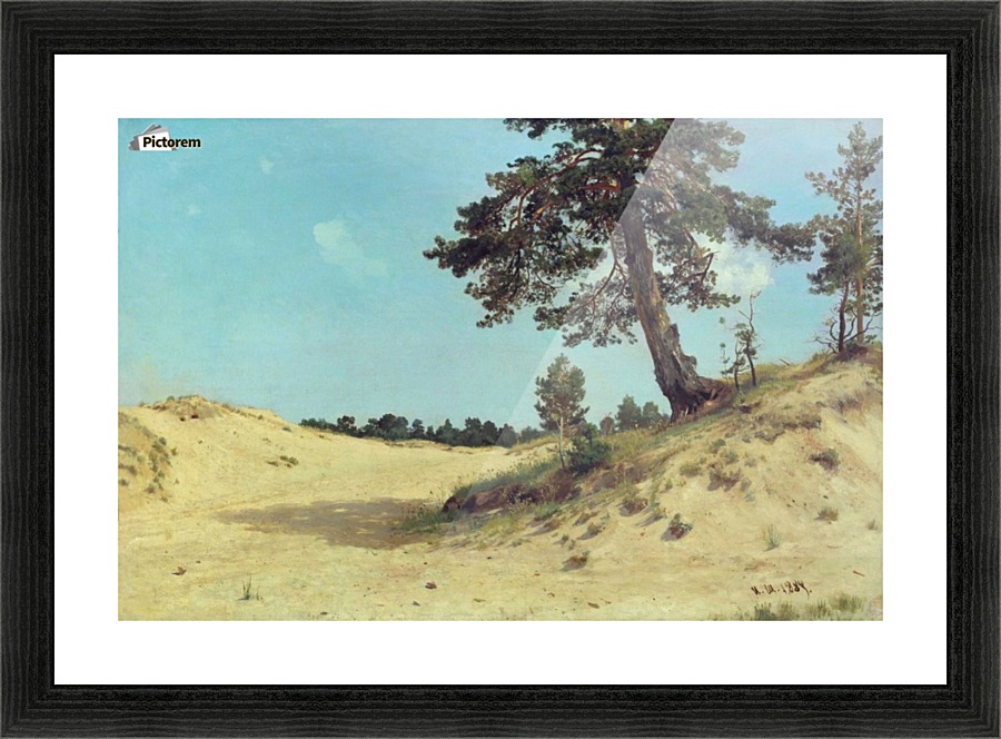 Pine On Sand Ivan Shishkin Canvas Pine On Sand Picture Frame Printing