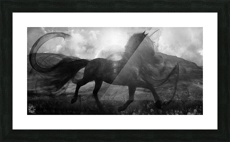  Fine Art print