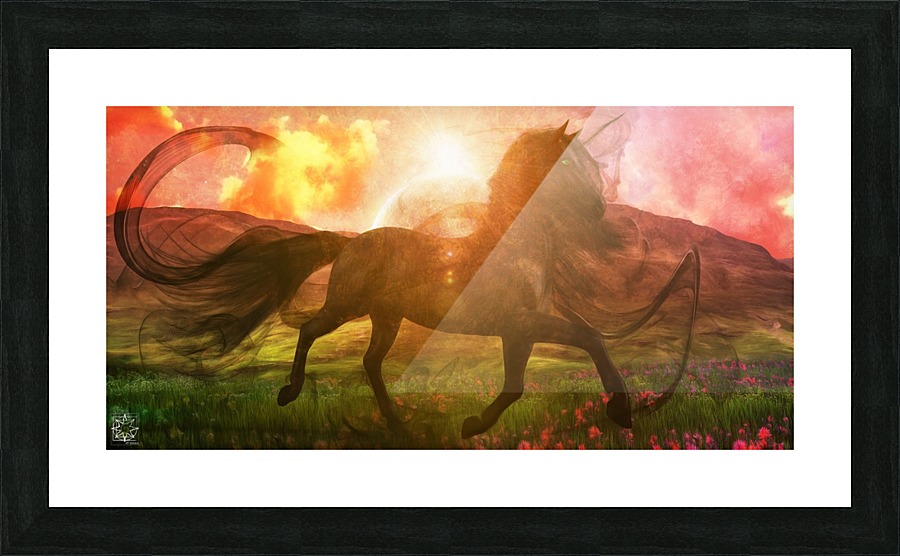  Fine Art print