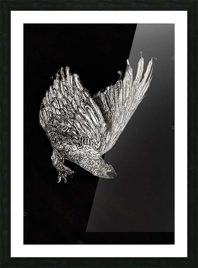 birdOFprey copy Picture Frame print