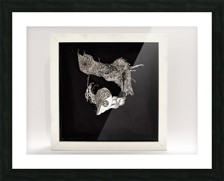 flying eye Picture Frame print