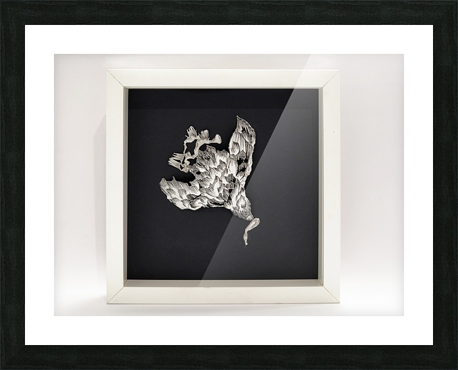 half of freedom Picture Frame print