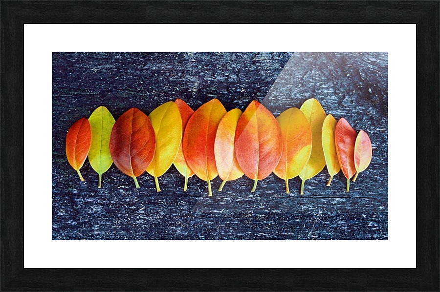 folhas Picture Frame print