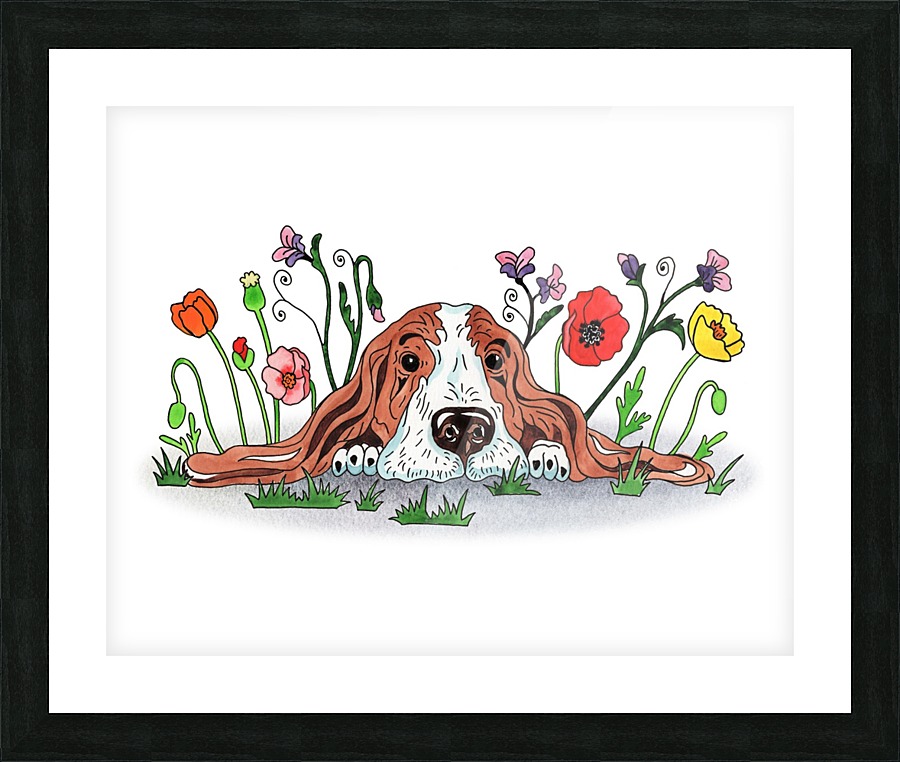 Super Sweet Cute Basset Poppy With Poppies Watercolor  Framed Print Print