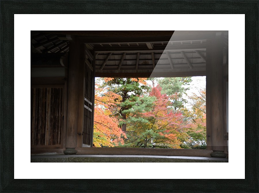 Honen-in Kyoto DSC_3836 Picture Frame print