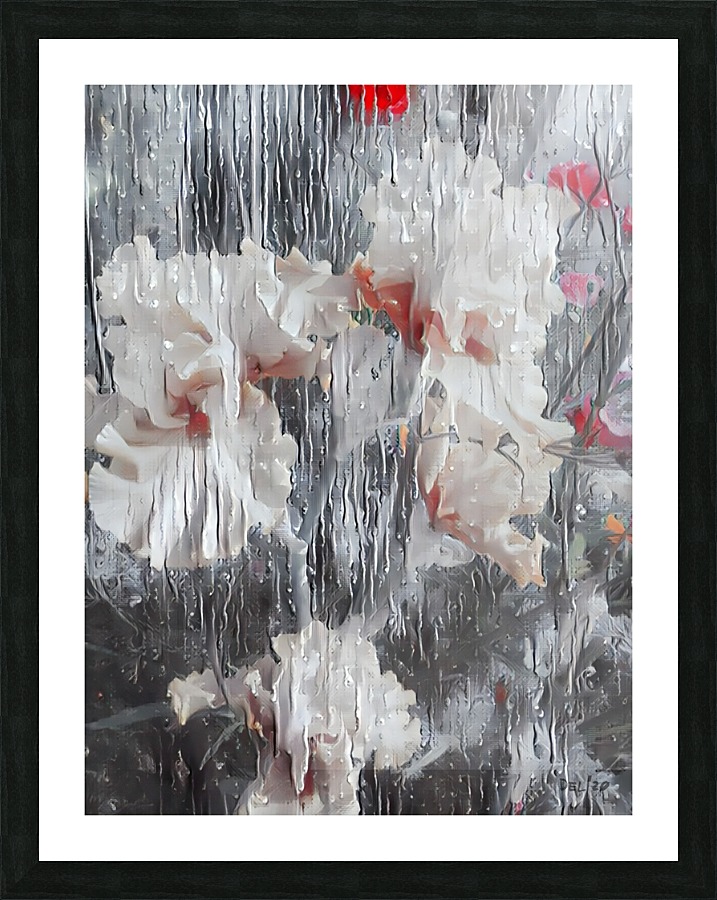 Bearded Iris  Impressionism Picture Frame print