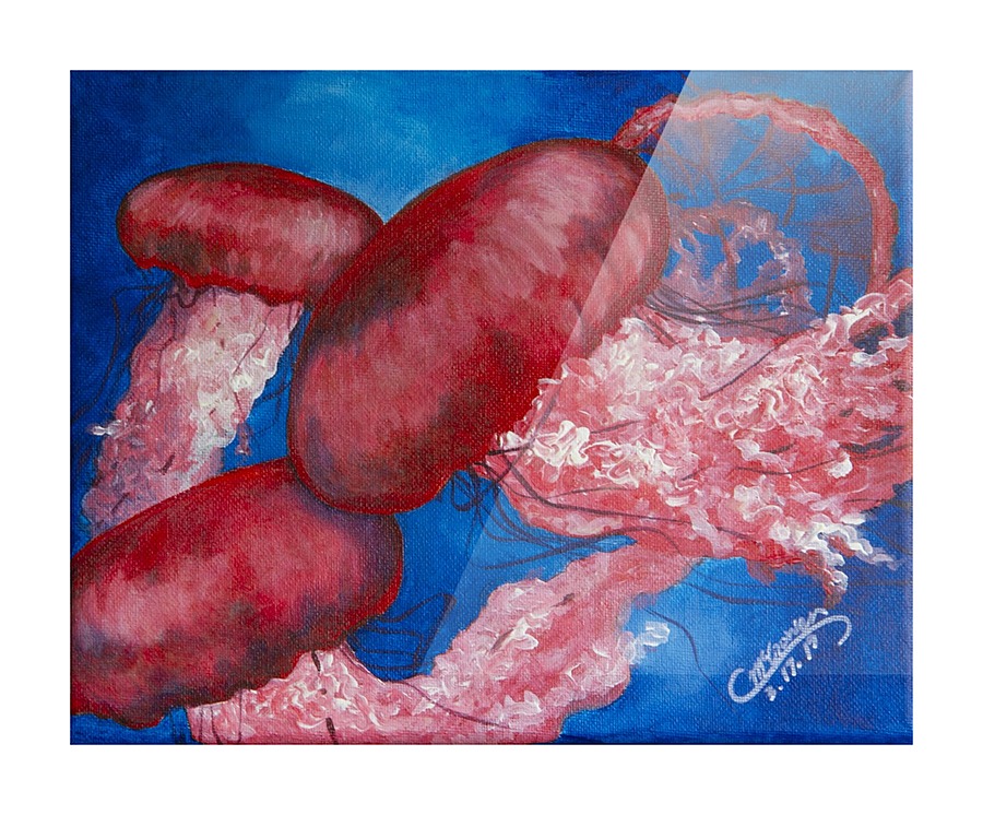 JellyFish  Framed Print Print