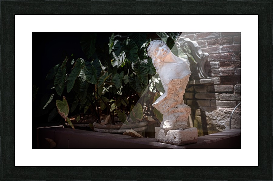 Bust at the Hotel California Picture Frame print