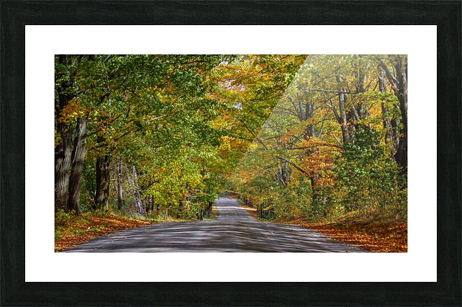 Fall Colors over a Country Road Picture Frame print