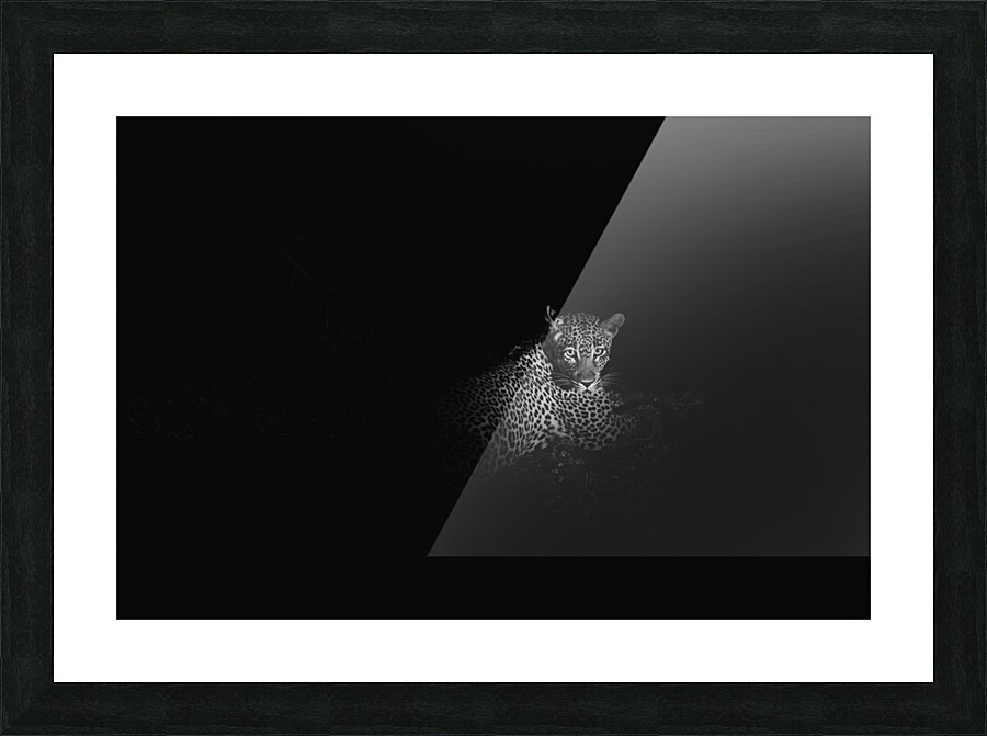 Leopard 2 Picture Frame print