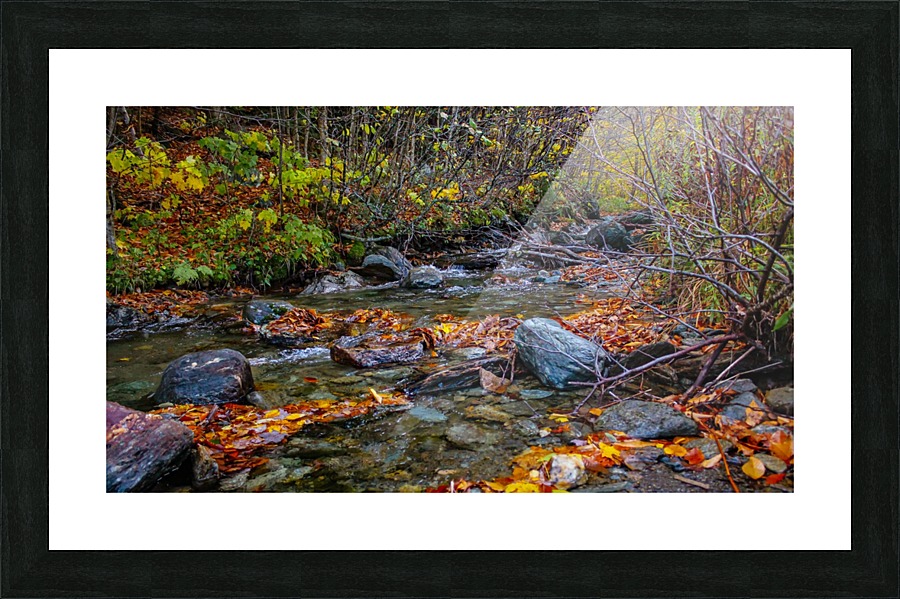 Fall Stream  Picture Frame print