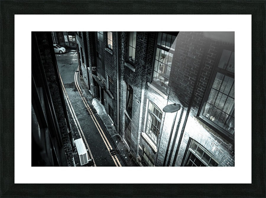  Fine Art print
