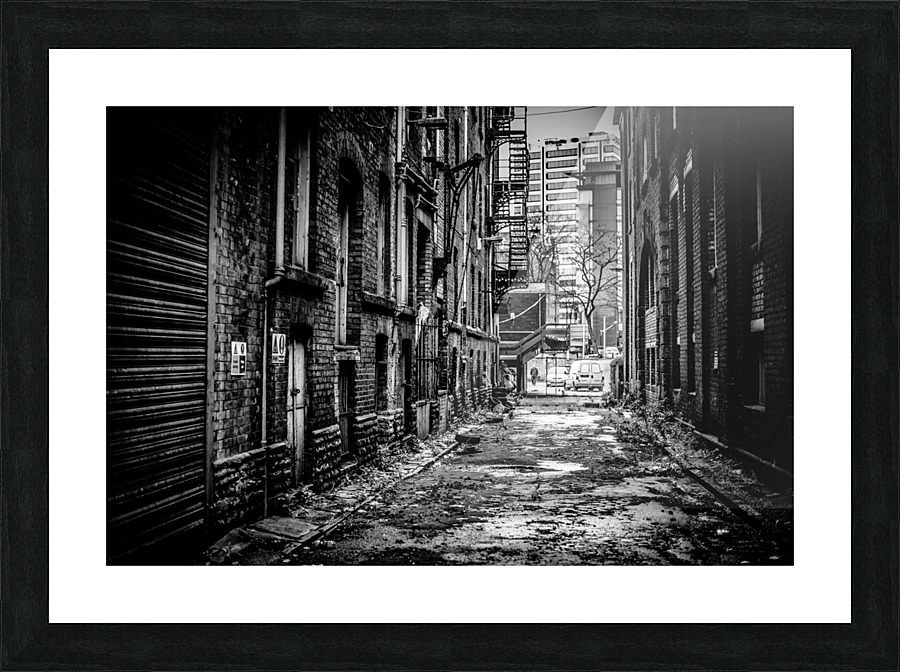  Fine Art print