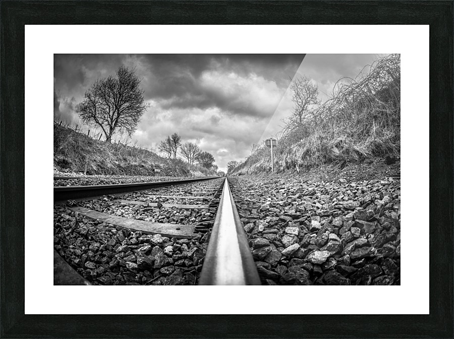  Fine Art print