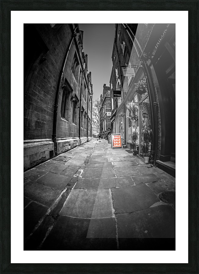  Fine Art print