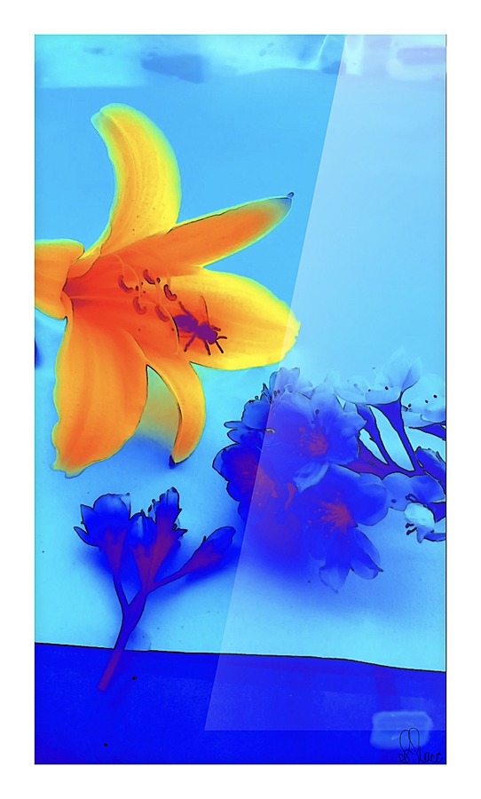  Fine Art print