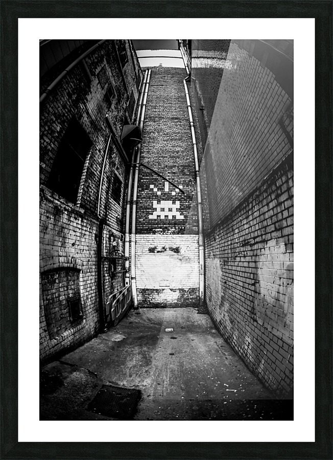  Fine Art print