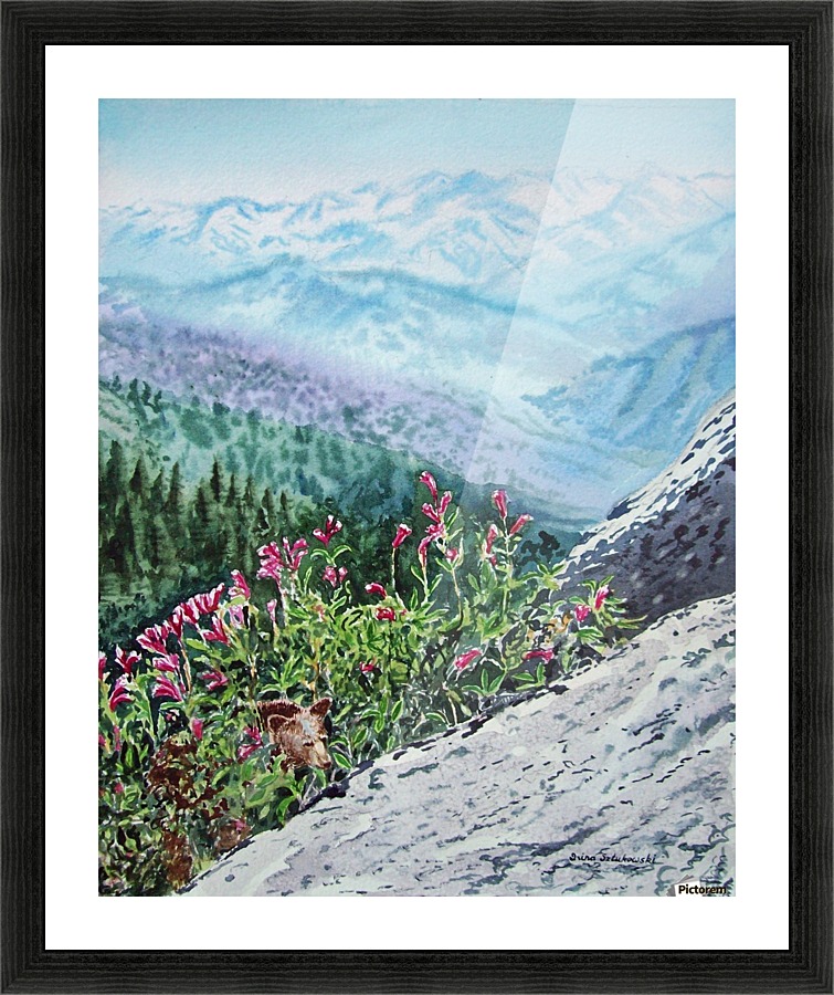 Mountains Of Sequoia  Picture Frame print