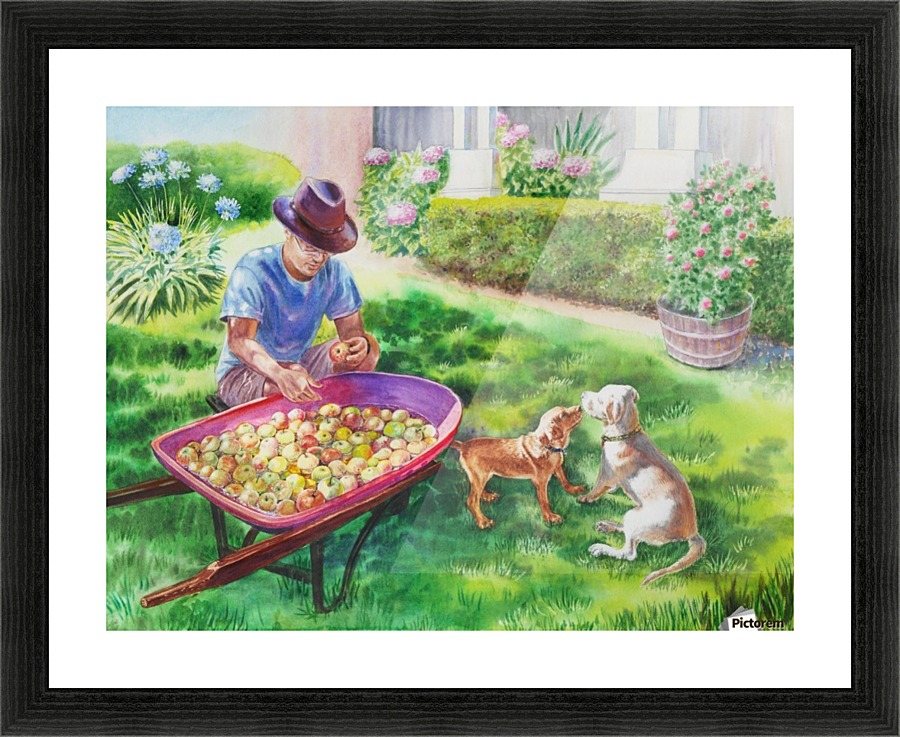 Apples Harvest Picture Frame print