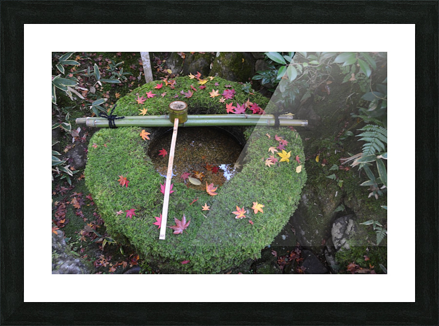 Koto-in KyotoDSC_0072 Picture Frame print