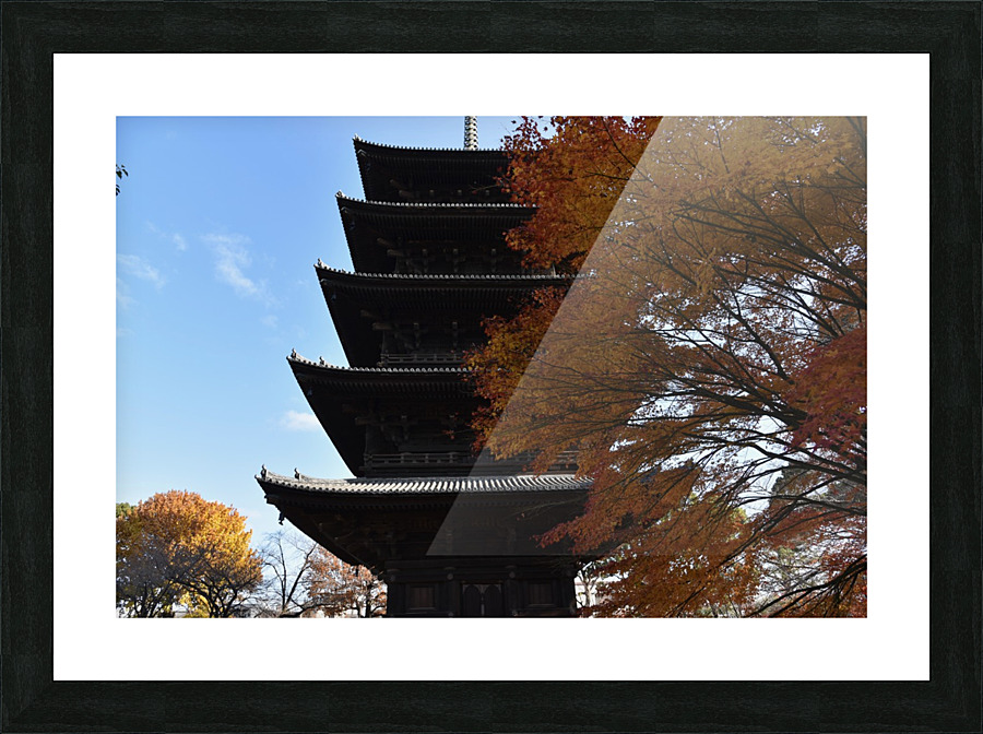 Toji Kyoto DSC_1480 Picture Frame print