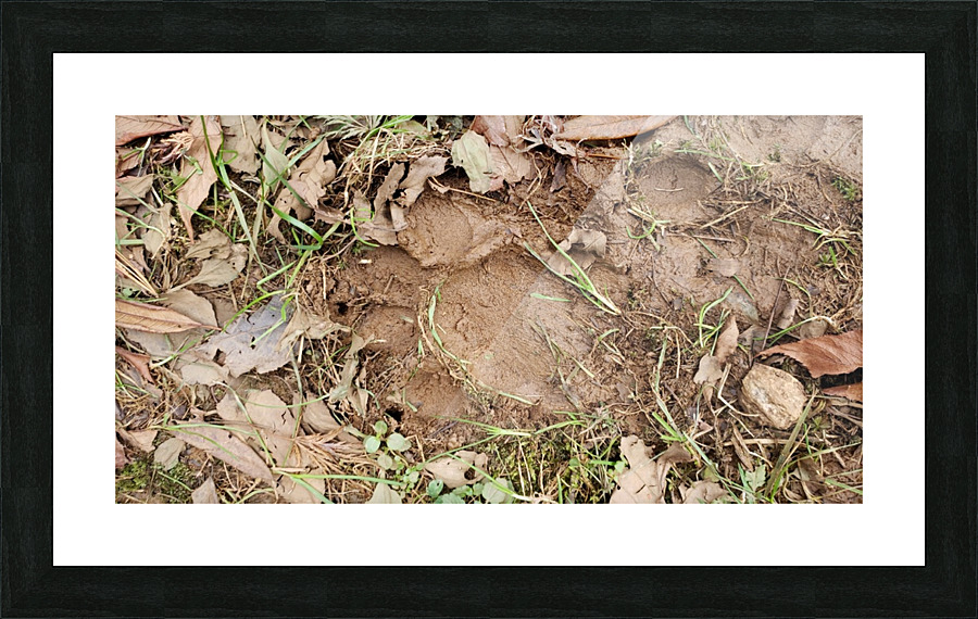 Snapchat 1522267205 Picture Frame print