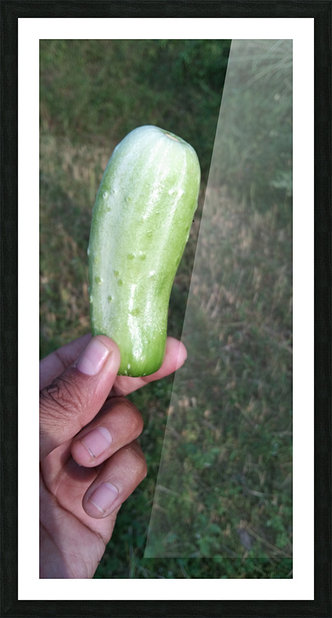 IMG_20200918_165303 Picture Frame print