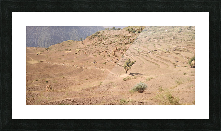 IMG_20201004_102038 Picture Frame print