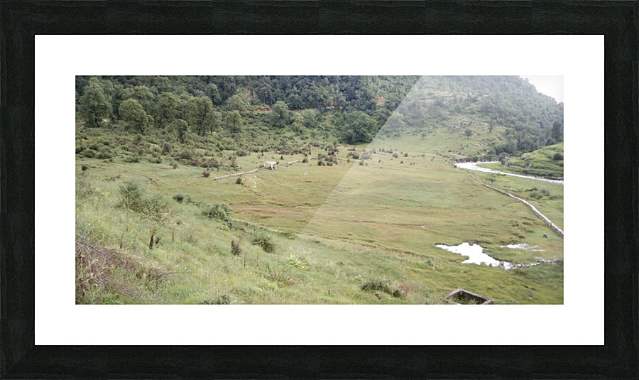 IMG_20200904_153717 Picture Frame print