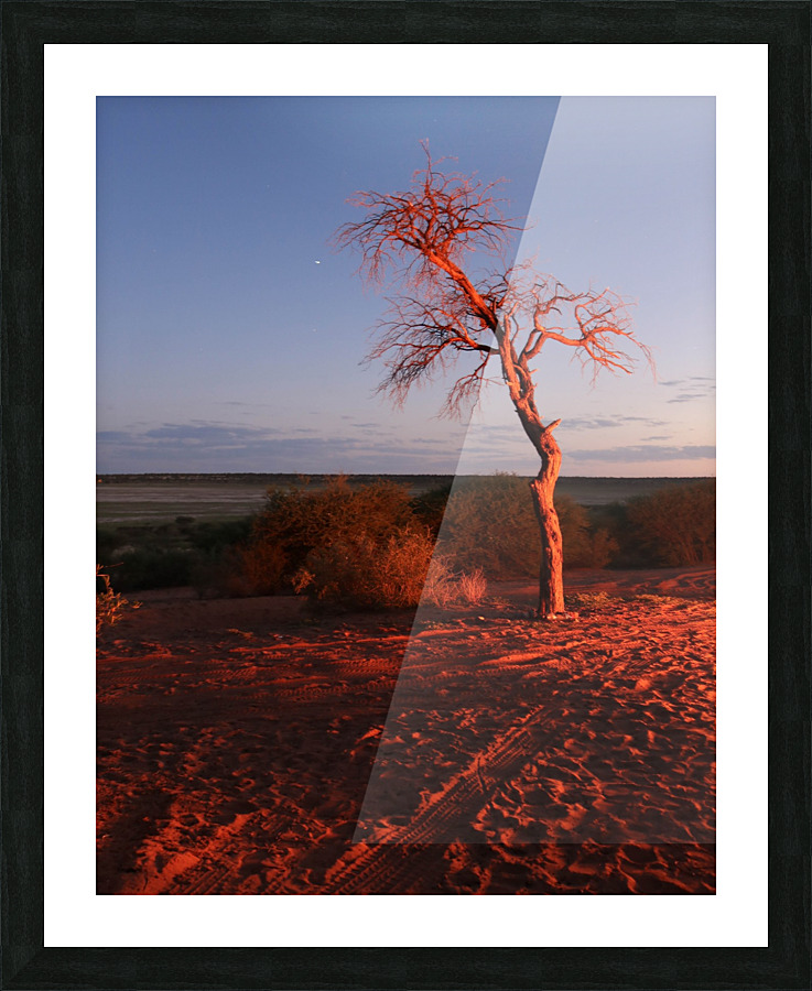 AdriaanPrinsloo 7215 Picture Frame print