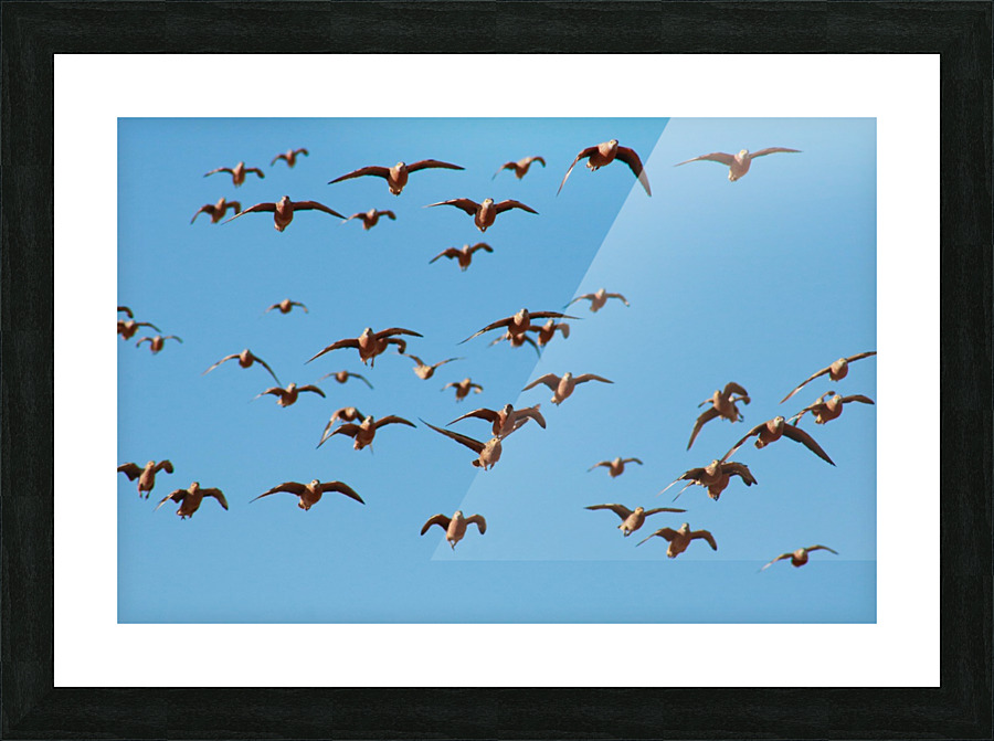 AdriaanPrinsloo 4488 Picture Frame print