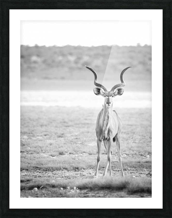 AdriaanPrinsloo 6071 Picture Frame print