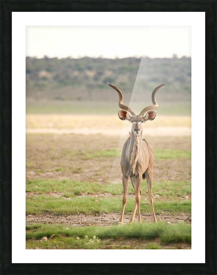 AdriaanPrinsloo 6071 2 Picture Frame print