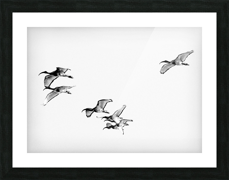 AdriaanPrinsloo 13001 Picture Frame print