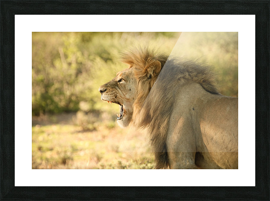 AdriaanPrinsloo 6942 Picture Frame print