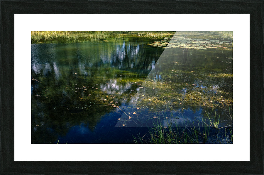 Monet style 3  Framed Print Print