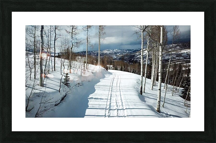 Cat Tracks Picture Frame print